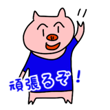 856625813