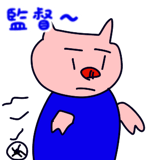 856625816