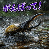 856626318