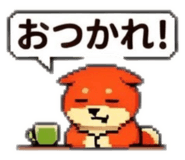 856629107
