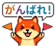 856629113