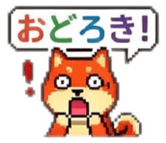 856629116