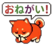 856629126