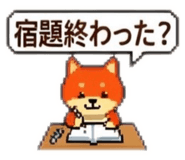856629141