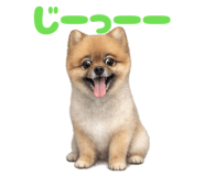 856629594