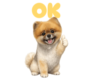 856629595