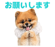 856629596