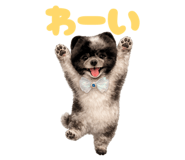 856629606
