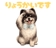 856629608