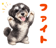 856630039