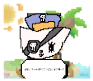 856630212