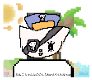 856630216