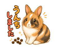 856630910