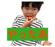 856631113