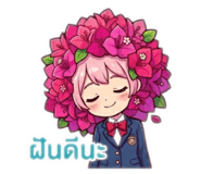 856631675