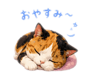 856631714