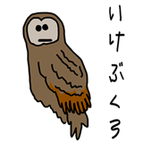 856632017