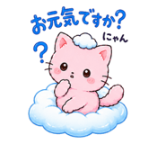 856632316
