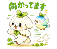 856632694