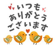 856633717