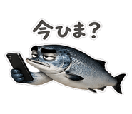 856634265