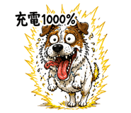856634673