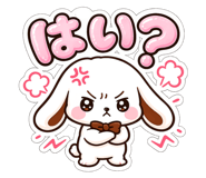 856634750