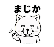 856635007