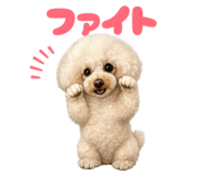 856635310