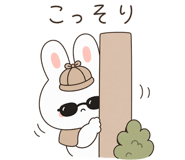 856635565