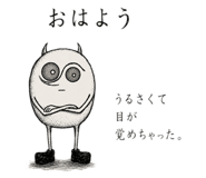 856636146
