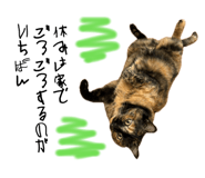 856636368