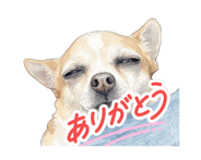 856636986