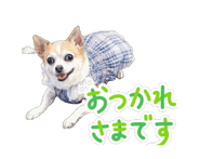 856636987