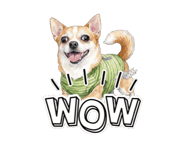856636989