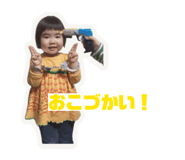 856637056