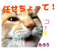 856637297