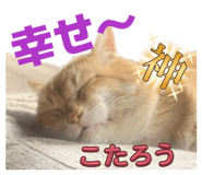 856637303