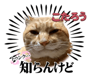 856637311
