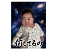 856637394
