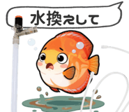 856637466