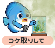 856637471