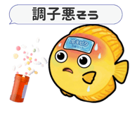 856637474