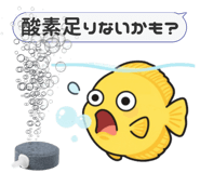 856637475
