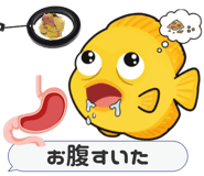 856637476