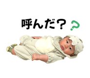 856637589