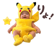 856637646