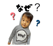 856637799