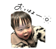 856638657