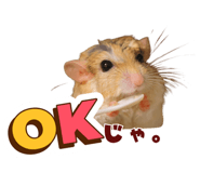 856638926